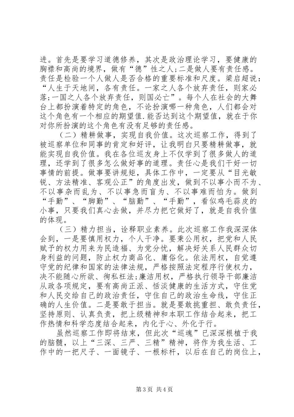 参加市委巡查组巡察工作心得体会_第3页