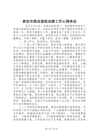 参加市委巡查组巡察工作心得体会