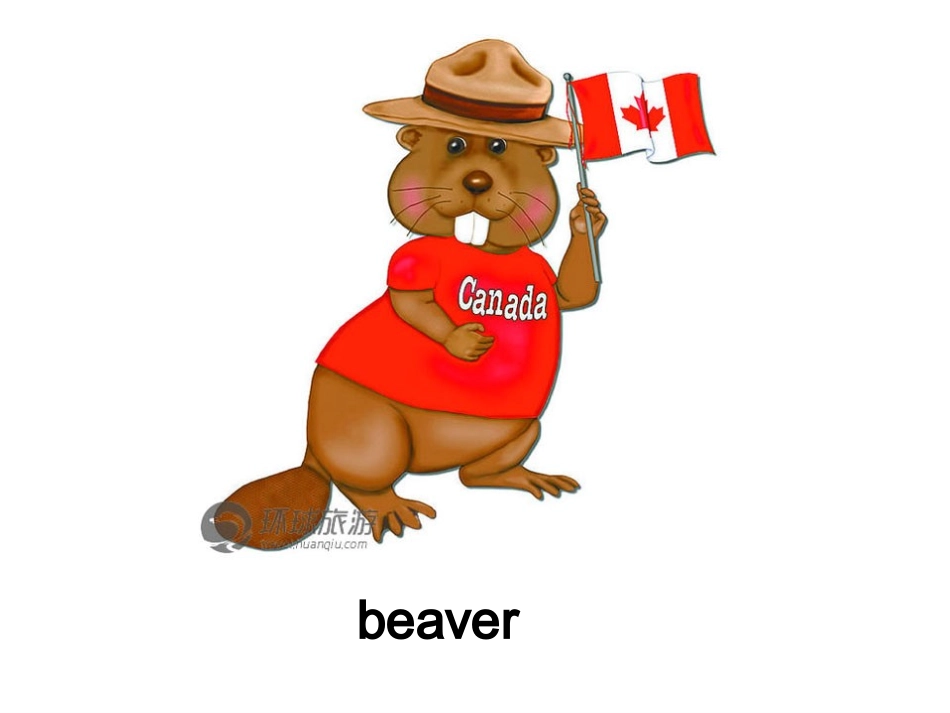 2013年新PEP三下Unit1ALet'slearn课件人教版_第3页