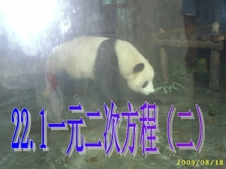 一元二次方程二