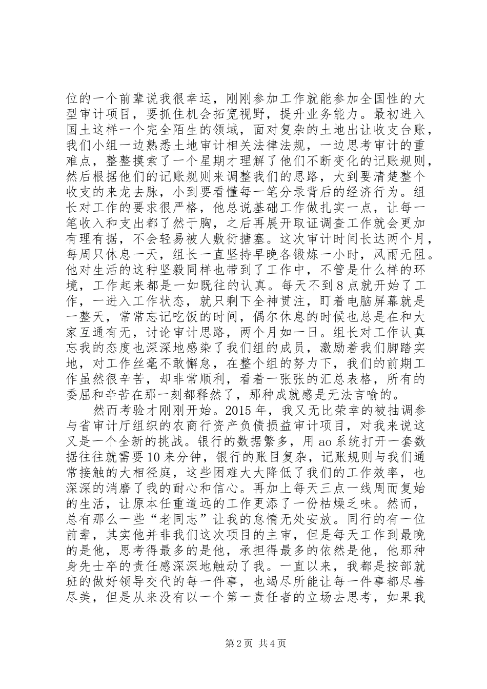 审计工作个人感悟_第2页