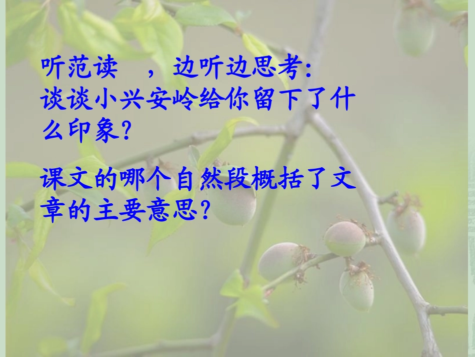 美丽的小兴安岭1PPT_第2页