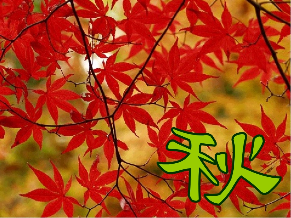 综合性学习：找秋天_第2页