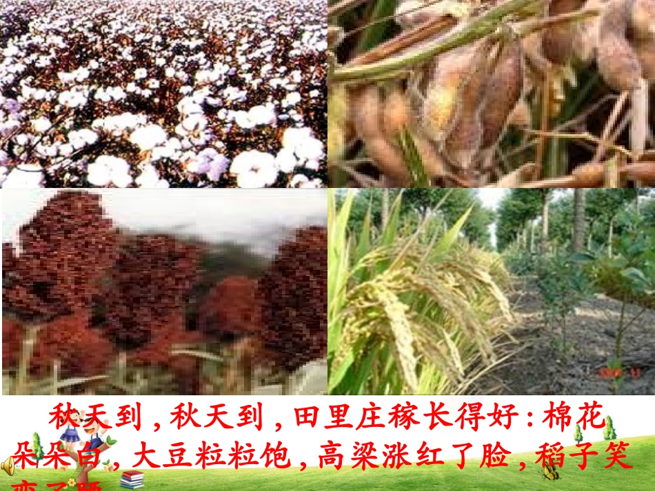 综合性学习：找秋天_第3页