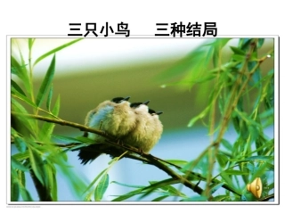 正确对待理想与现实（李爱爱）
