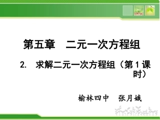 求解二元一次方程组（第课时）演示文稿