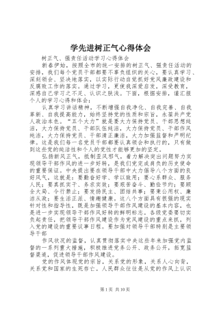 学先进树正气心得体会
