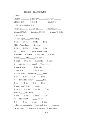 语法练习：物主代词小练习