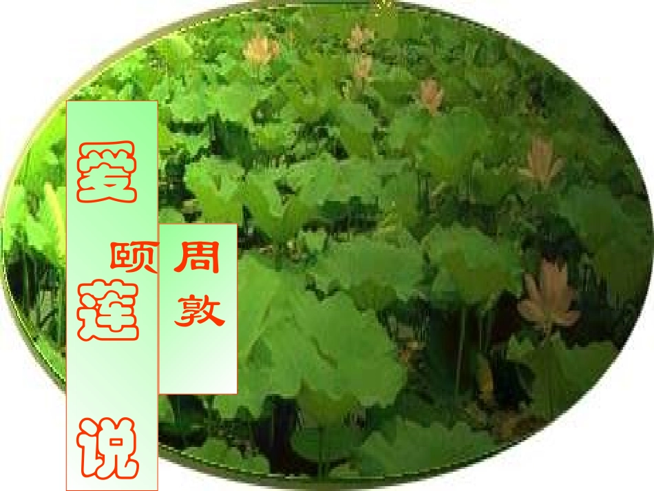 爱莲说PPT课件_第1页