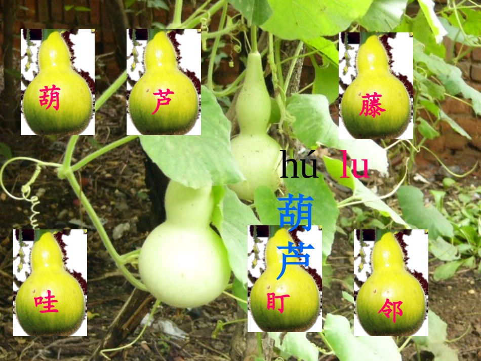 我要的是葫芦 _第3页