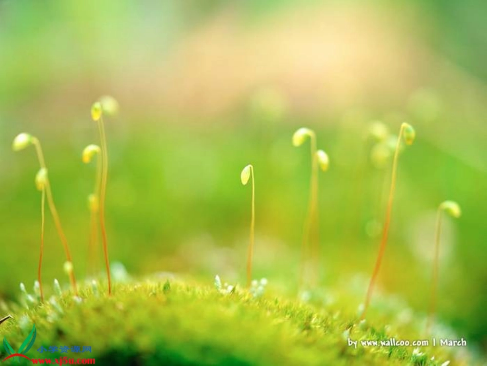 人教新课标二年级语文下册《找春天_8》PPT课件1_第2页