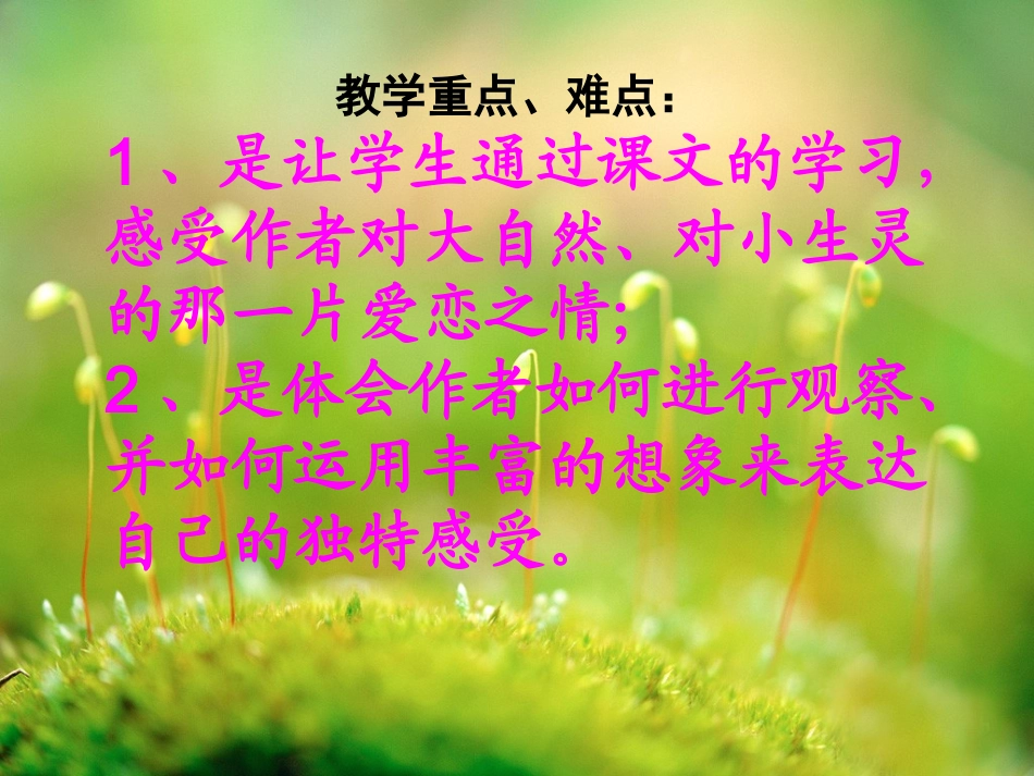 草虫的村落[2]_第3页