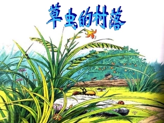草虫的村落[2]