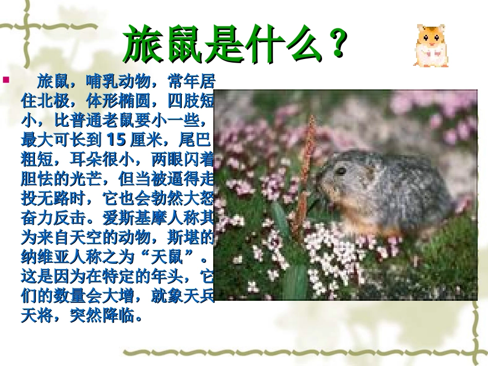 旅鼠之谜 (2)_第2页