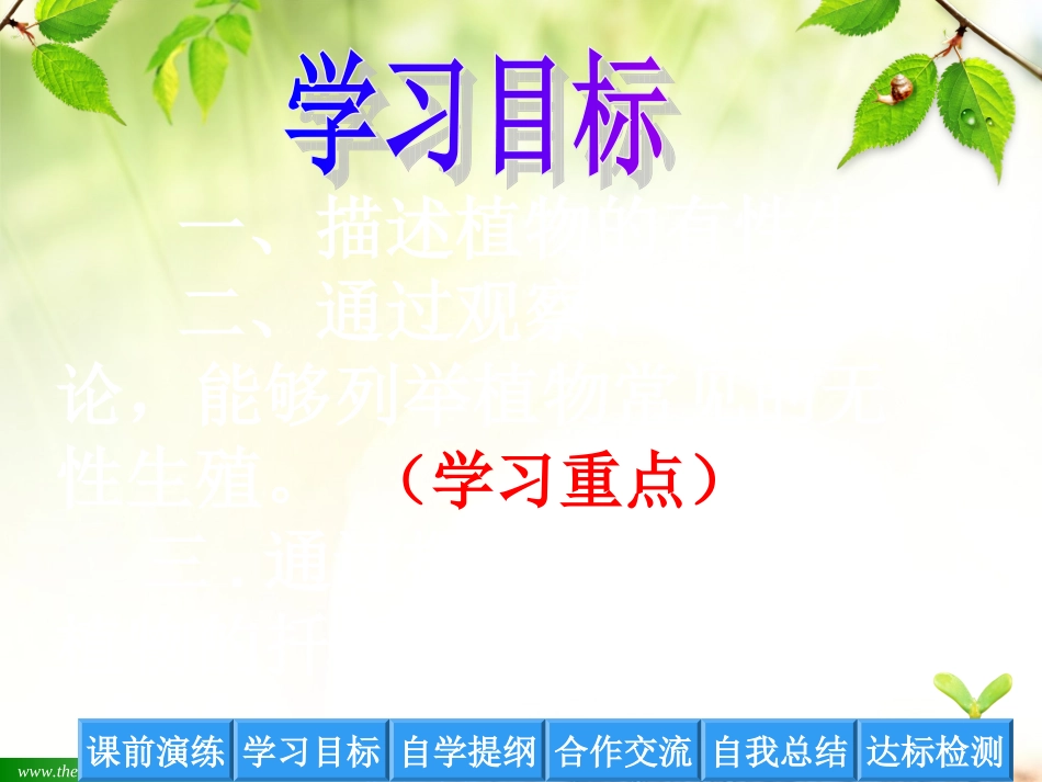 植物的生殖_PPT_第2页