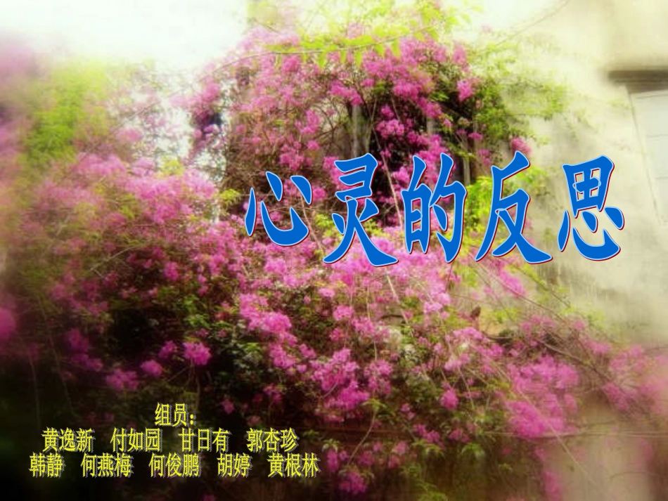 心灵的反思课件_第1页
