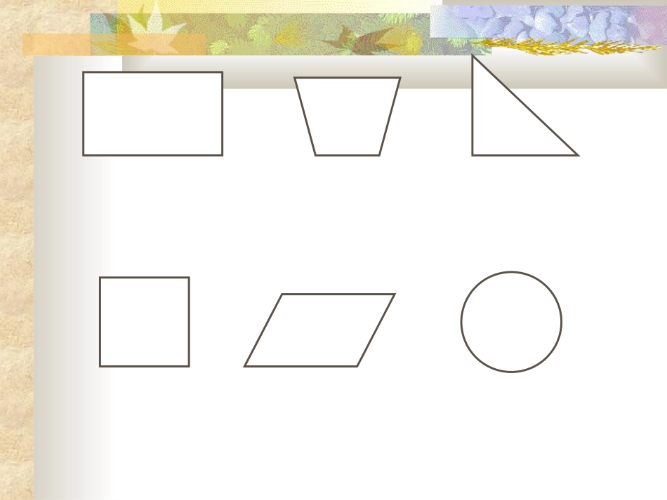 平面图形的周长和面积_第2页