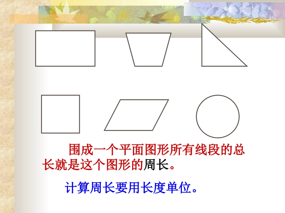 平面图形的周长和面积_第3页