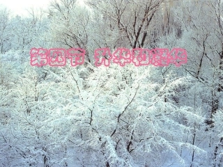 人教八上《44升华和凝华》课件1