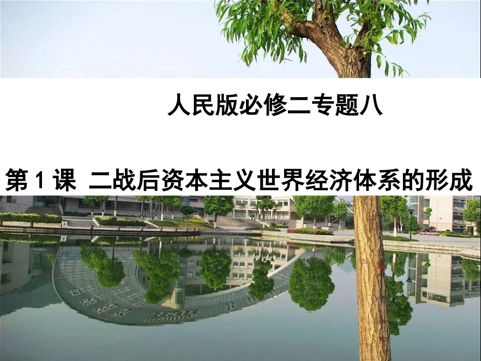 必修二战后资本主义世界体系_第1页