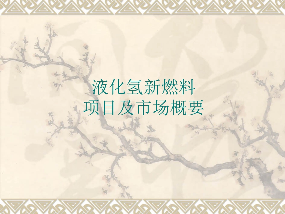 液化氢新燃料_第1页