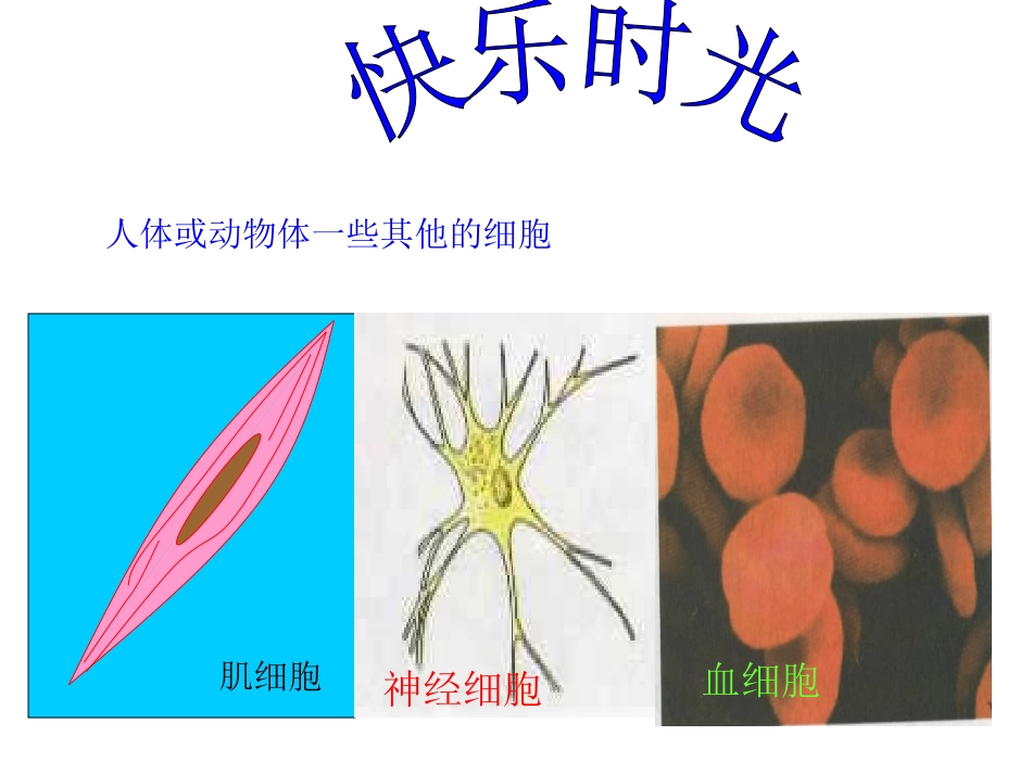 生物的结构层次_第3页