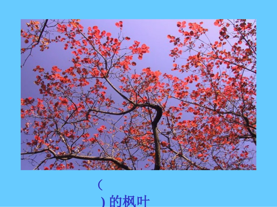 蓝色的树叶上课_第3页
