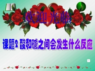 酸和碱的反应2