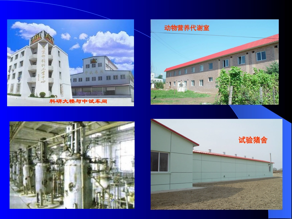 大豆抗营养因子_第3页