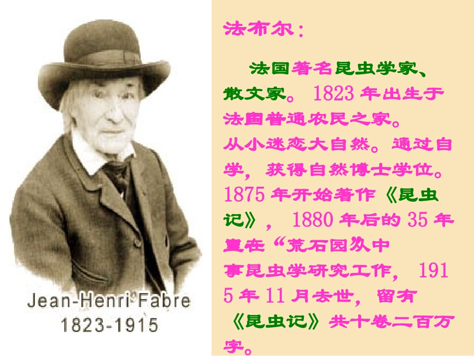 《绿色蝈蝈》_第3页