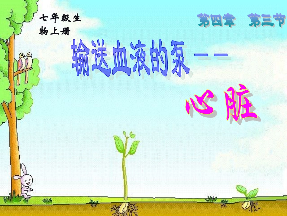 七年级生物下册第四章第三节课件心脏、血液循环_第1页