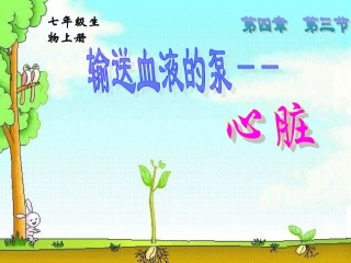 七年级生物下册第四章第三节课件心脏、血液循环