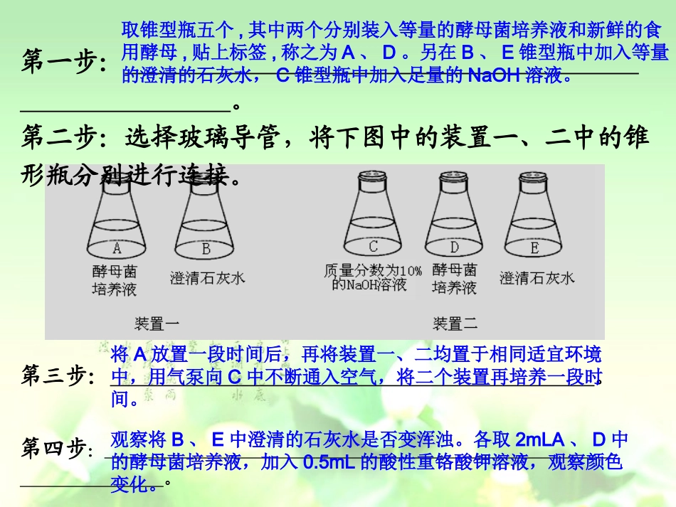探究酵母菌细胞呼吸方式模型的构建和迁移运用-4_第3页