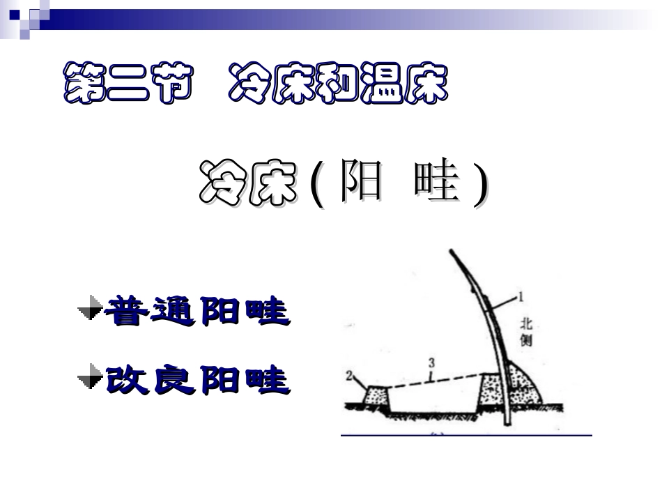 第二节 温床_第1页
