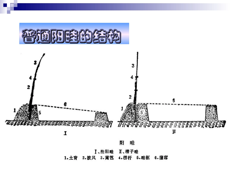 第二节 温床_第3页