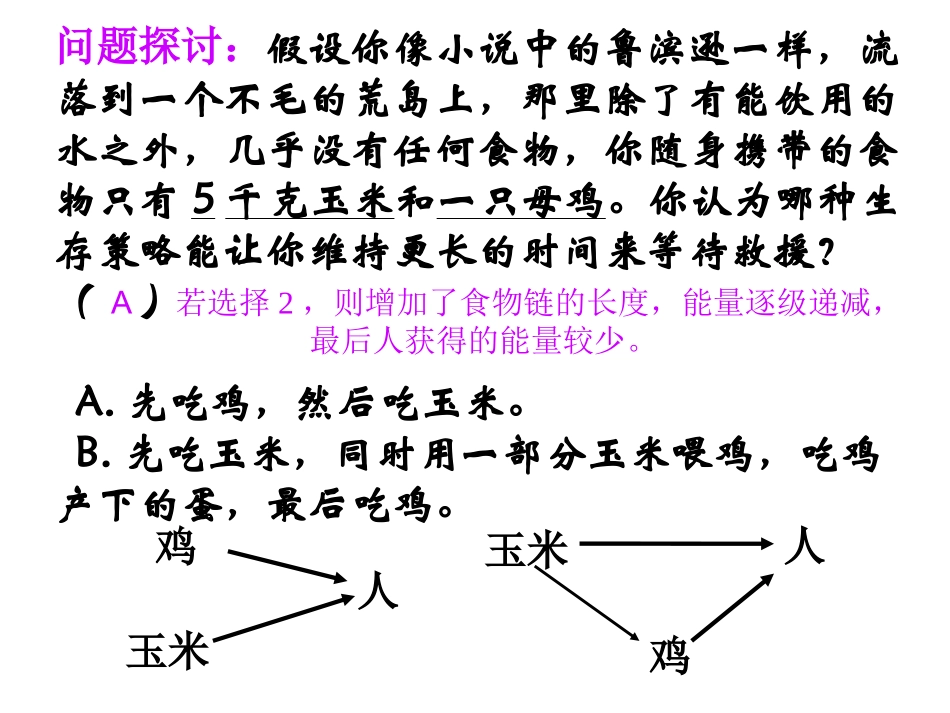 生态系统的能量流动_第3页