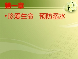 中小学生防溺水安全教育讲座