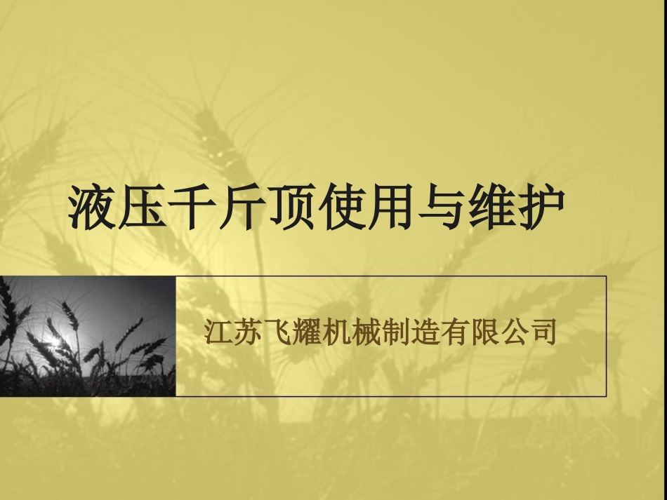液压千斤顶使用与维护_第1页