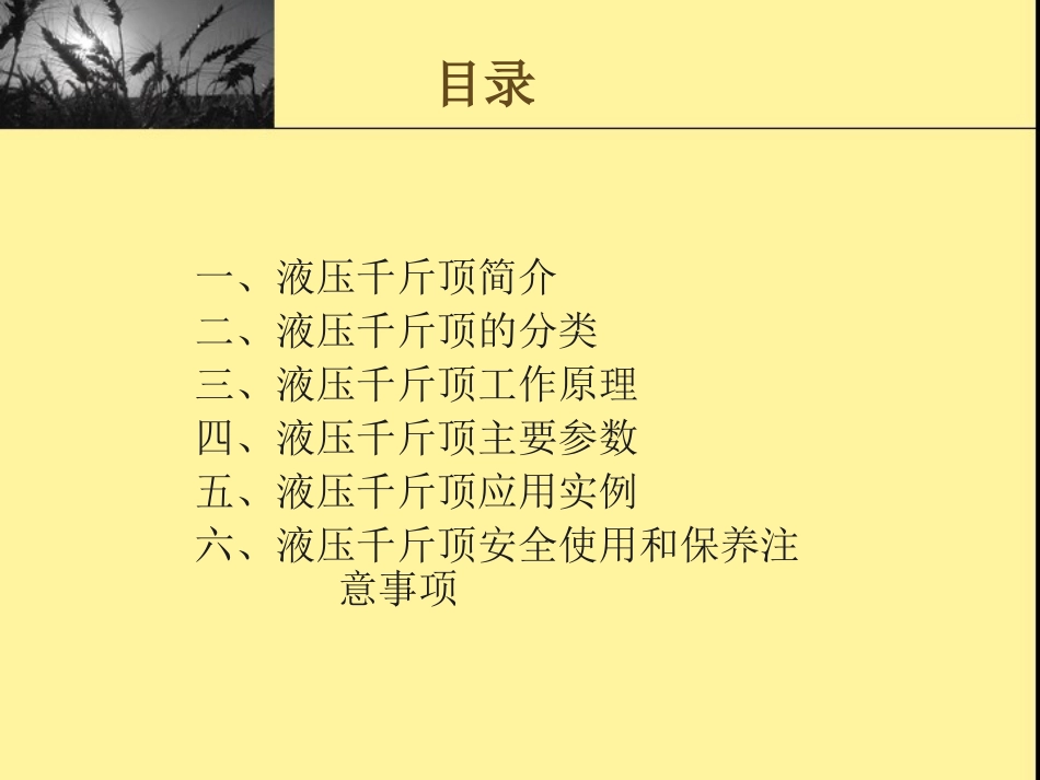 液压千斤顶使用与维护_第2页