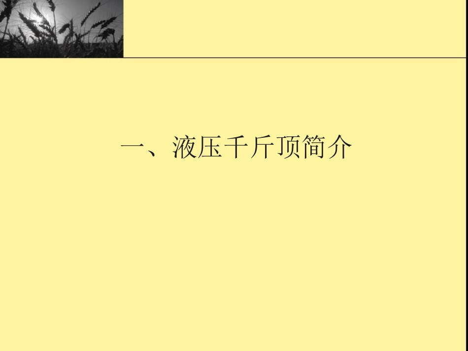 液压千斤顶使用与维护_第3页