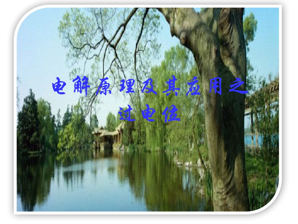 过电位与自由基_第1页