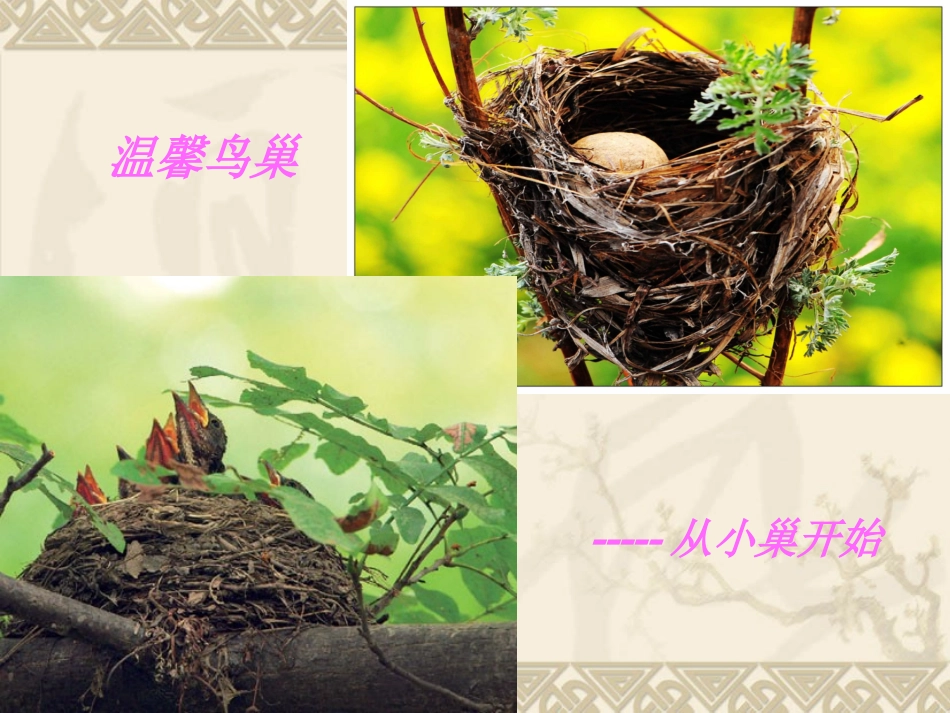 天空的精灵2次稿_第2页