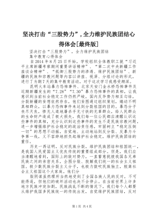 坚决打击“三股势力”,全力维护民族团结心得体会[最终版]