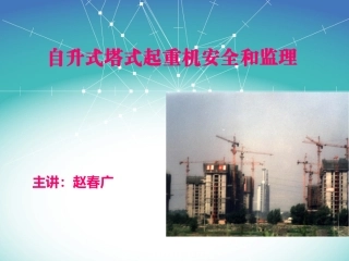 自升式塔式起重机安全和监理
