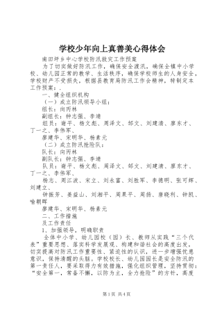 学校少年向上真善美心得体会