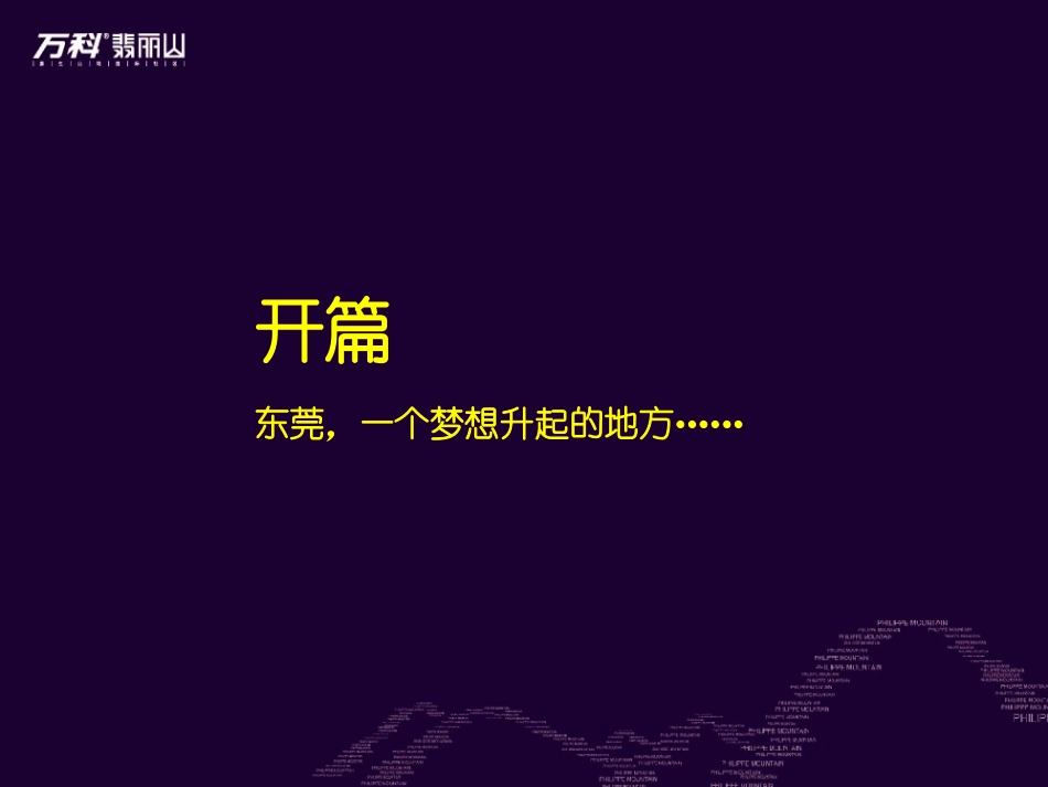 DCYX省广-万科翡丽山推广方案._第2页
