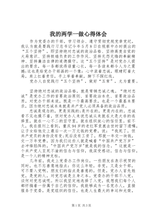 我的两学一做心得体会