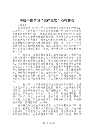 中层干部学习“三严三实”心得体会