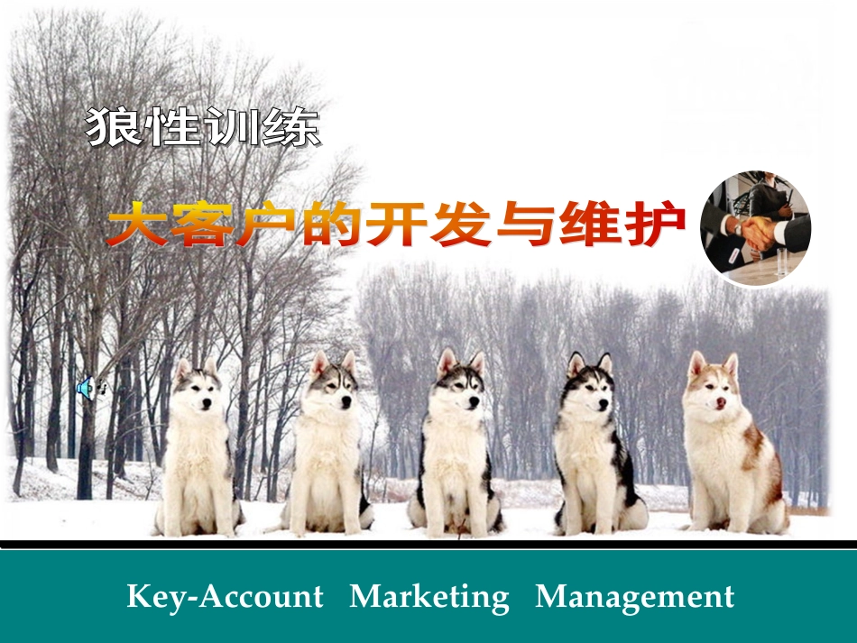 大客户的开发与维护_第1页