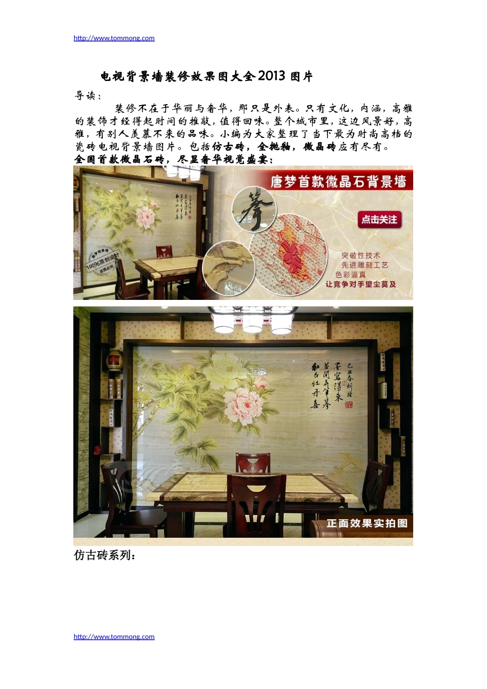 电视背景墙装修效果图大全2013图片_第1页